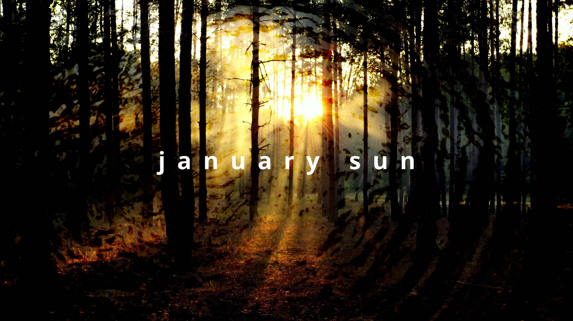 january sun thumbnail